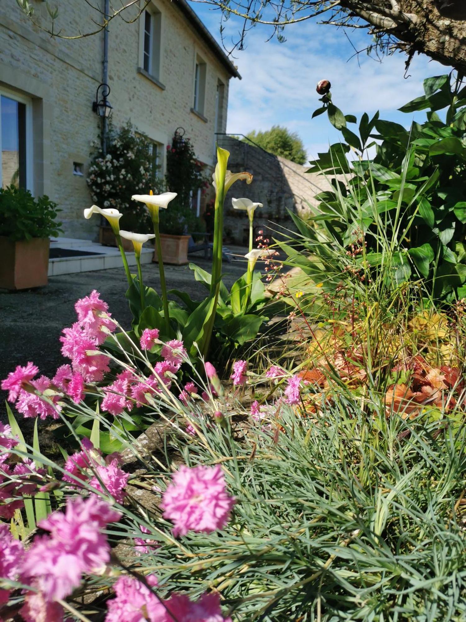 Chambre De L'Iris Sainte-Croix-sur-Mer Exterior foto