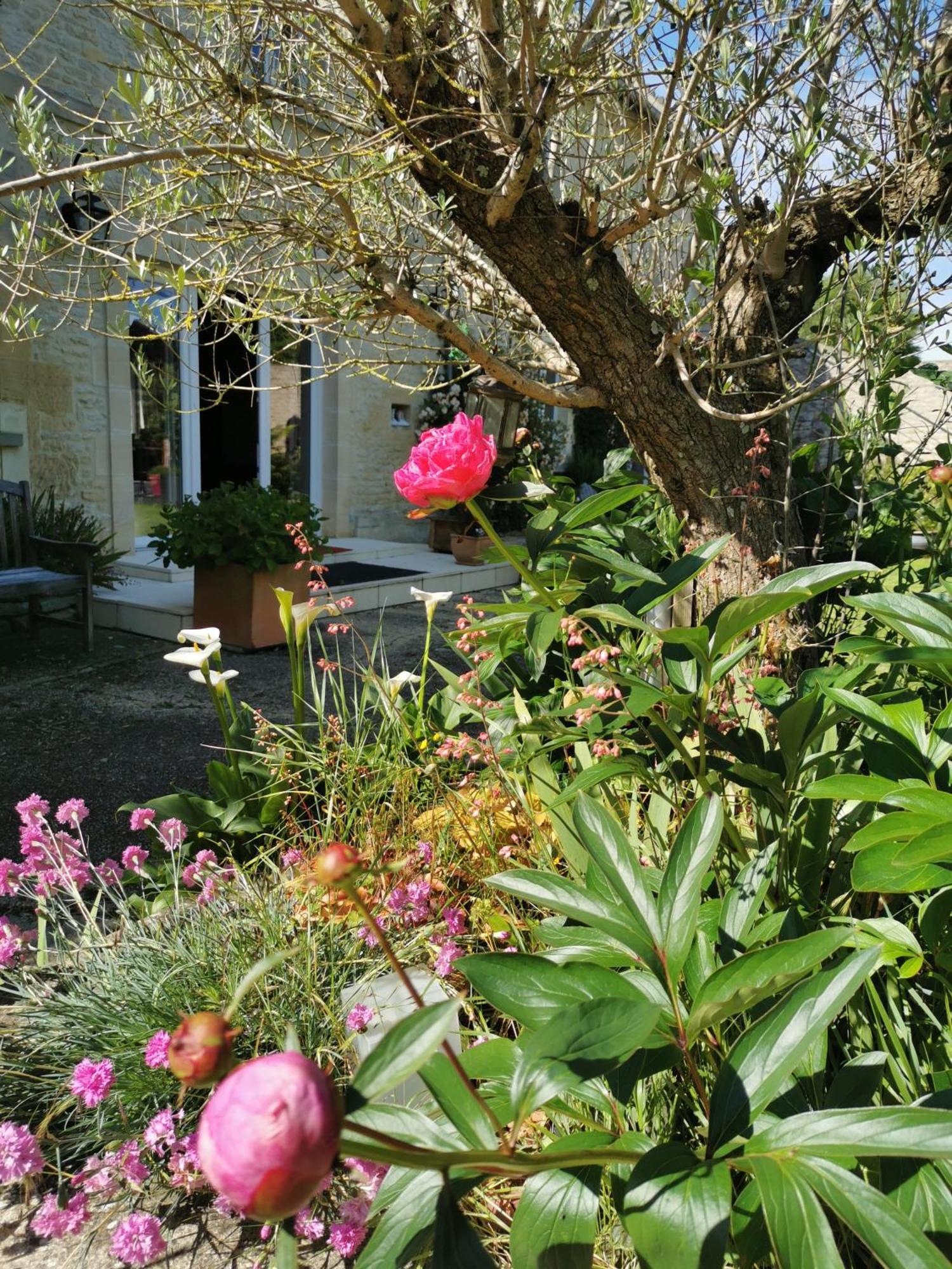Chambre De L'Iris Sainte-Croix-sur-Mer Exterior foto